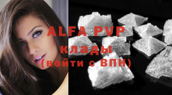крисы Алексин