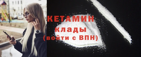 крисы Алексин