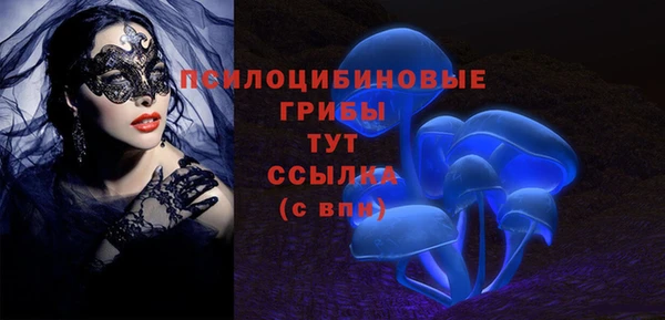 крисы Алексин