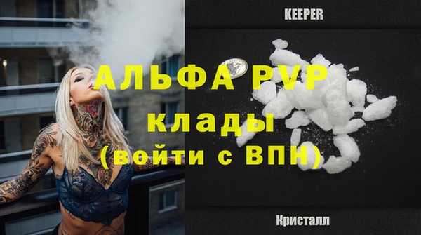 крисы Алексин