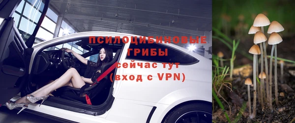 кокс Алзамай